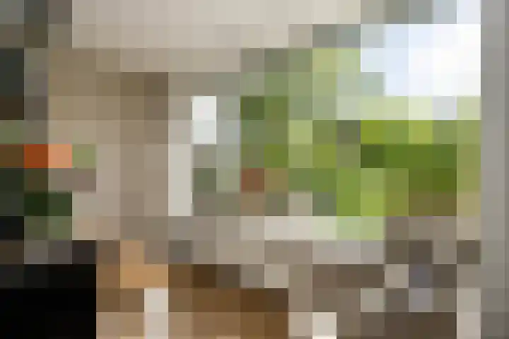 Kerkweg 76 Berkenwoude thumbnail 15