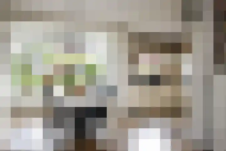 Kerkweg 76 Berkenwoude thumbnail 16