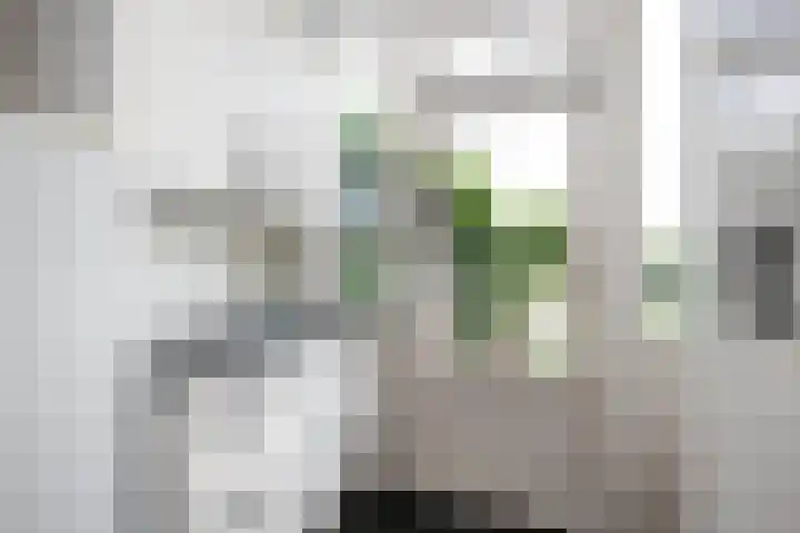 Kerkweg 76 Berkenwoude thumbnail 19