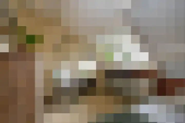 Kerkweg 76 Berkenwoude thumbnail 31