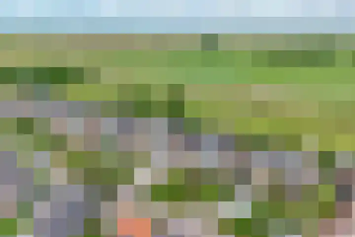 Kerkweg 76 Berkenwoude thumbnail 33