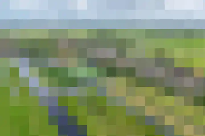 Kerkweg 76 Berkenwoude thumbnail 48