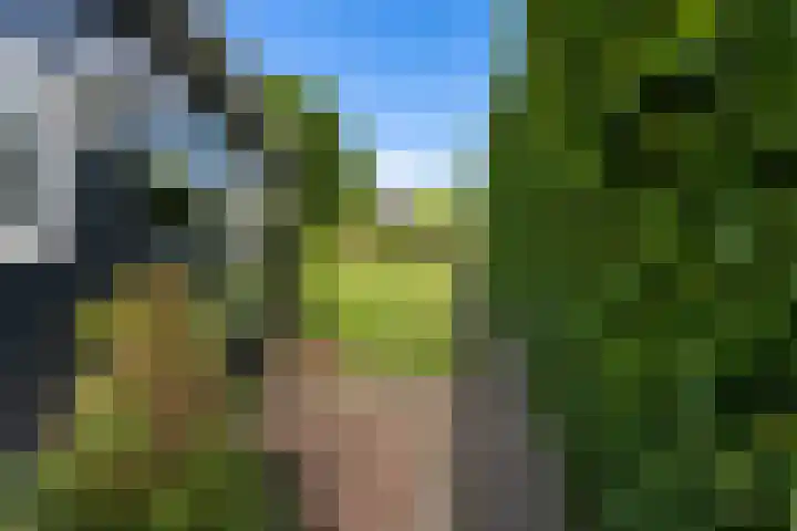 Kerkweg 78 Ridderkerk thumbnail 38