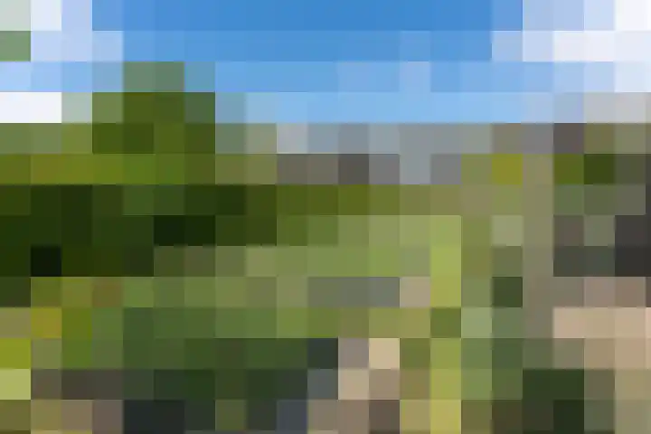 Kerkweg 78 Ridderkerk thumbnail 44