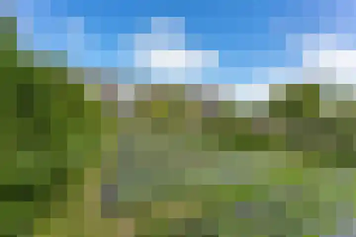 Kerkweg 78 Ridderkerk thumbnail 45