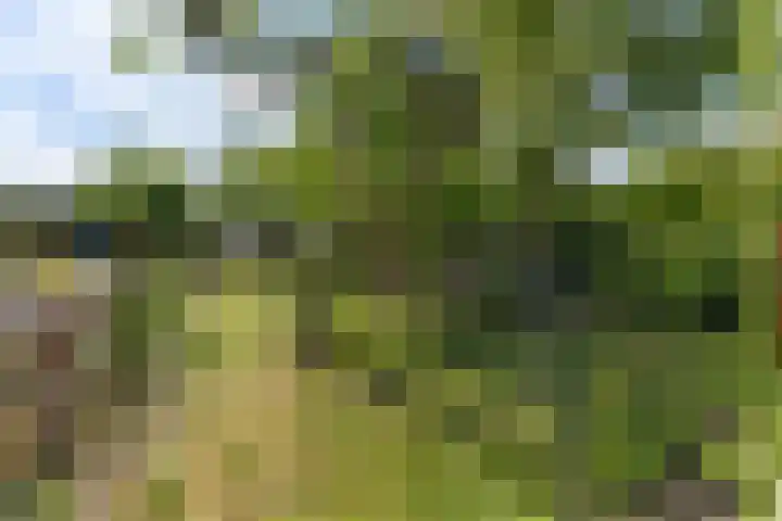 Kerkweg 78 Ridderkerk thumbnail 48
