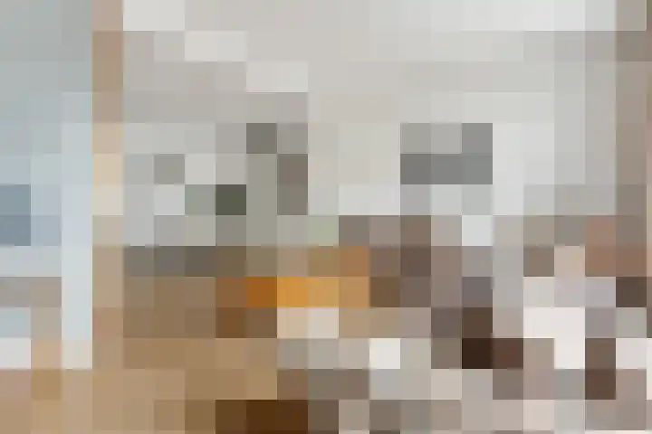 Kerkweg 78 Ridderkerk thumbnail 5