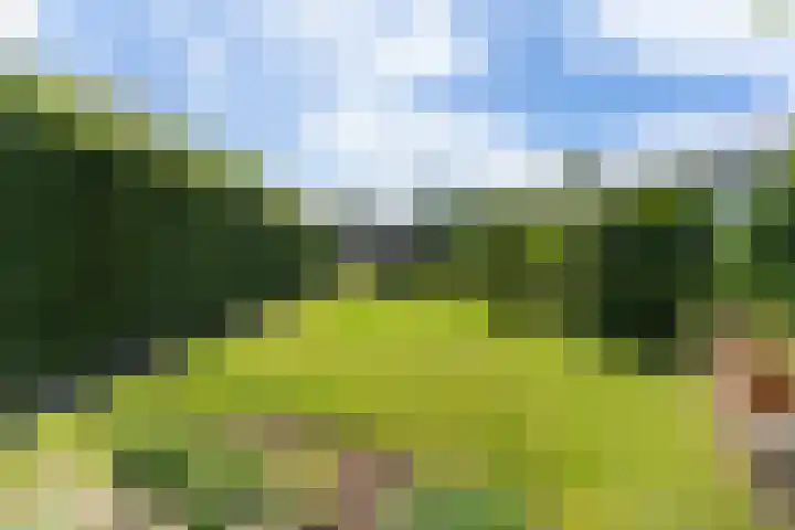 Kerkweg 78 Ridderkerk thumbnail 50