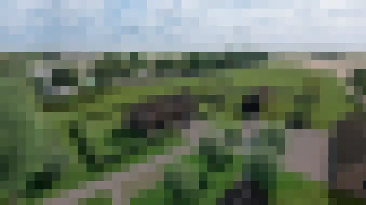 Kerkweg 8 Vorchten thumbnail 11