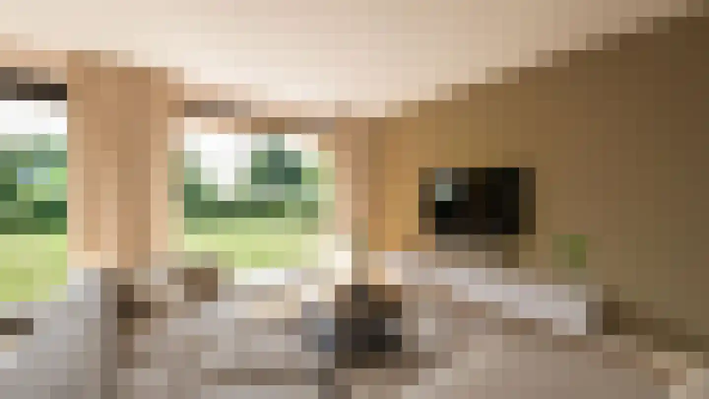 Kerkweg 8 Vorchten thumbnail 6