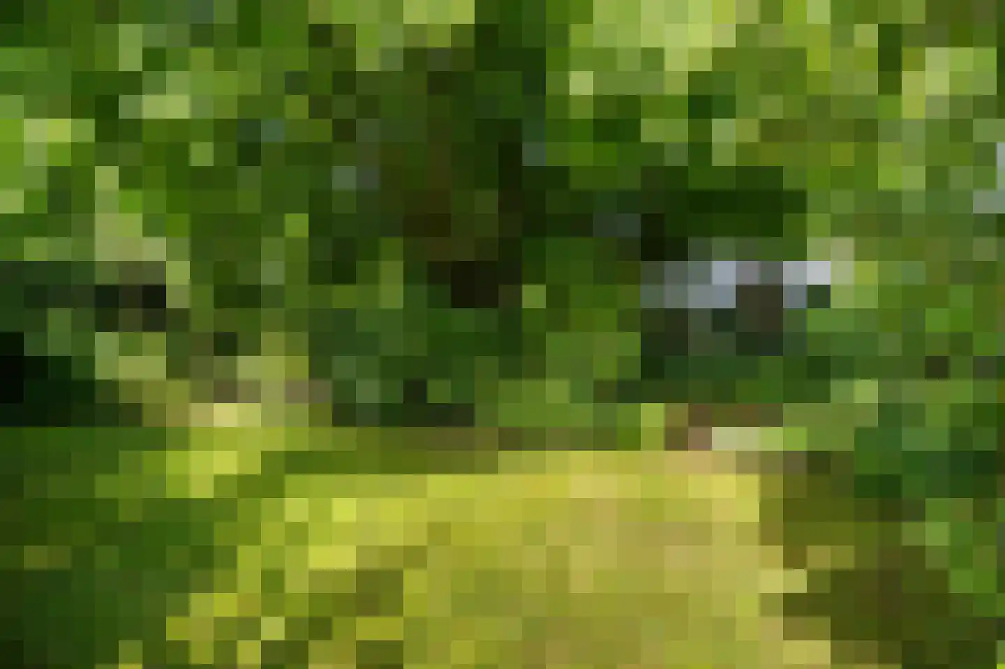 Kerkweg 8 Zijderveld thumbnail 31