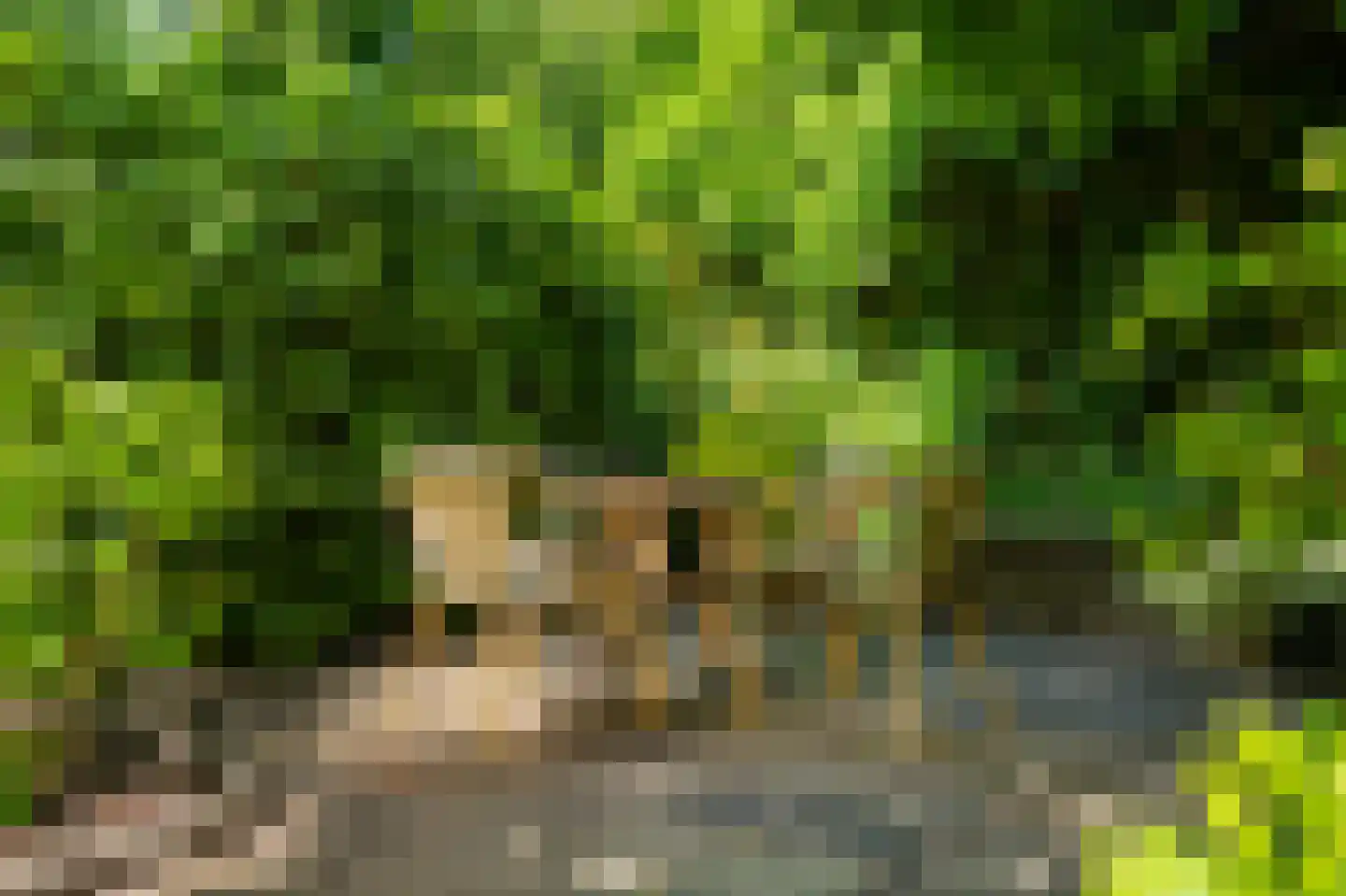 Kerkweg 8 Zijderveld thumbnail 32