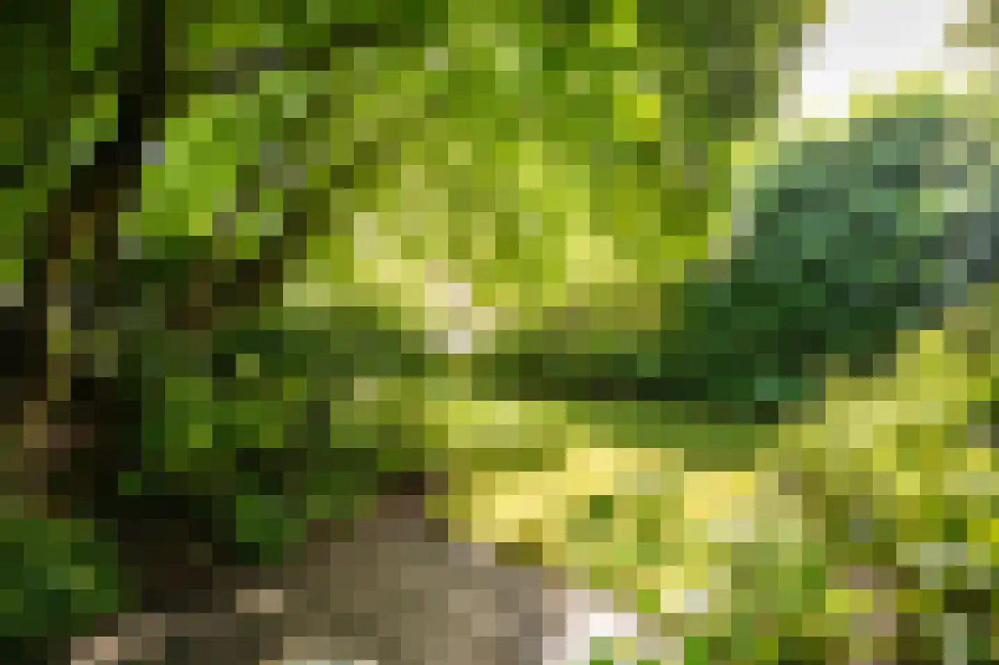 Kerkweg 8 Zijderveld thumbnail 33