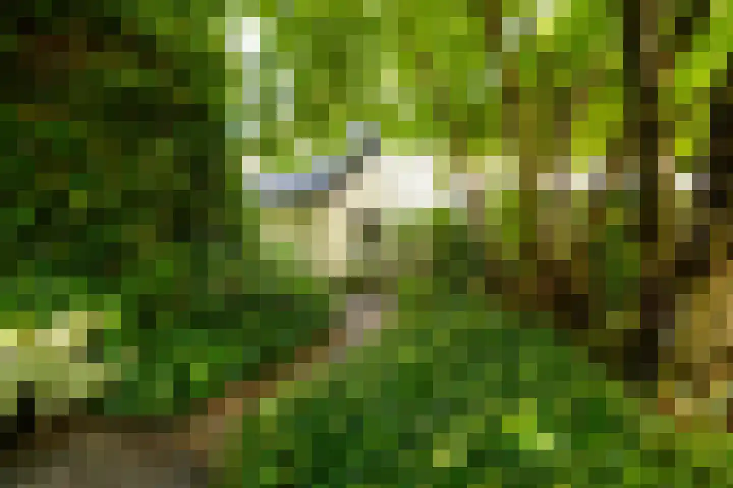 Kerkweg 8 Zijderveld thumbnail 34