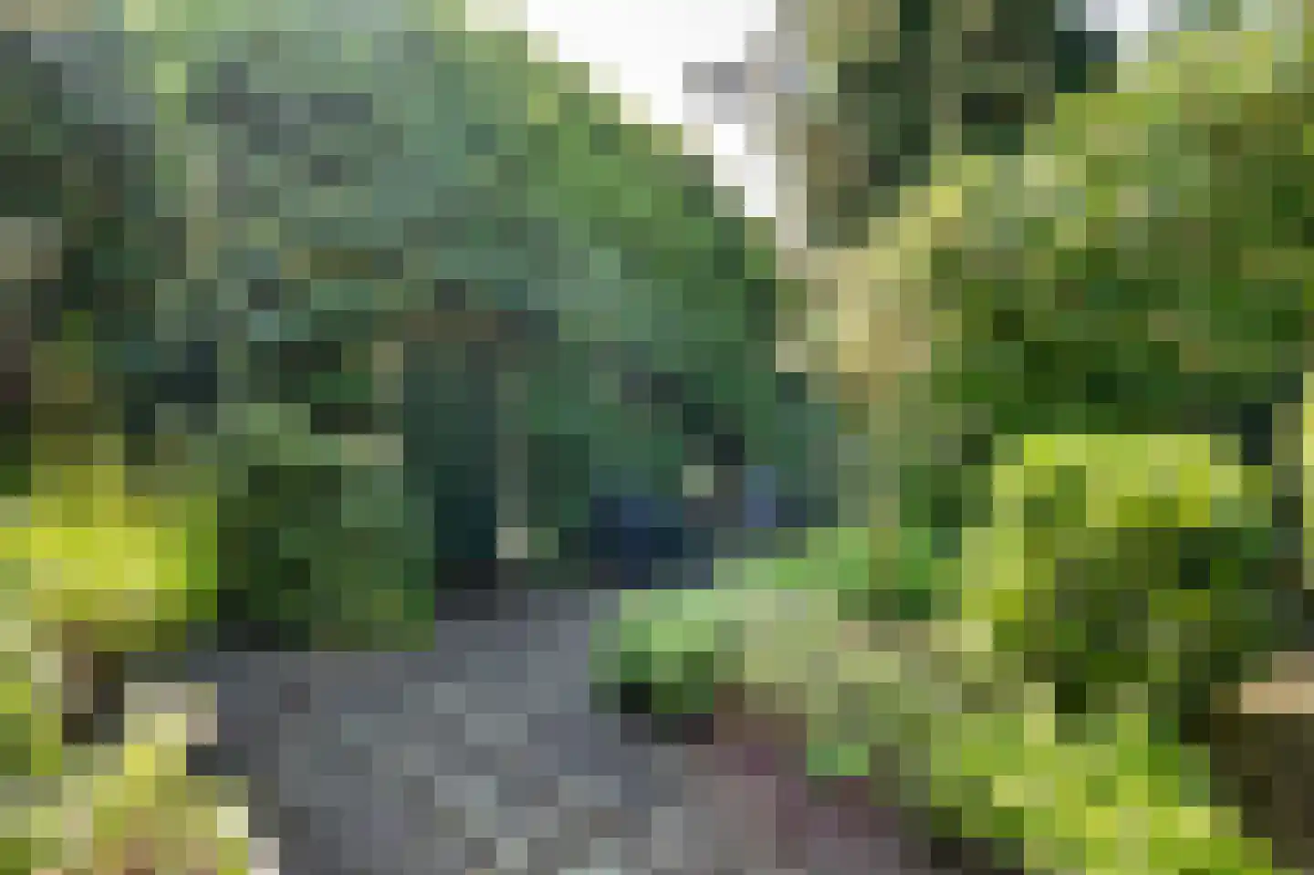 Kerkweg 8 Zijderveld thumbnail 36