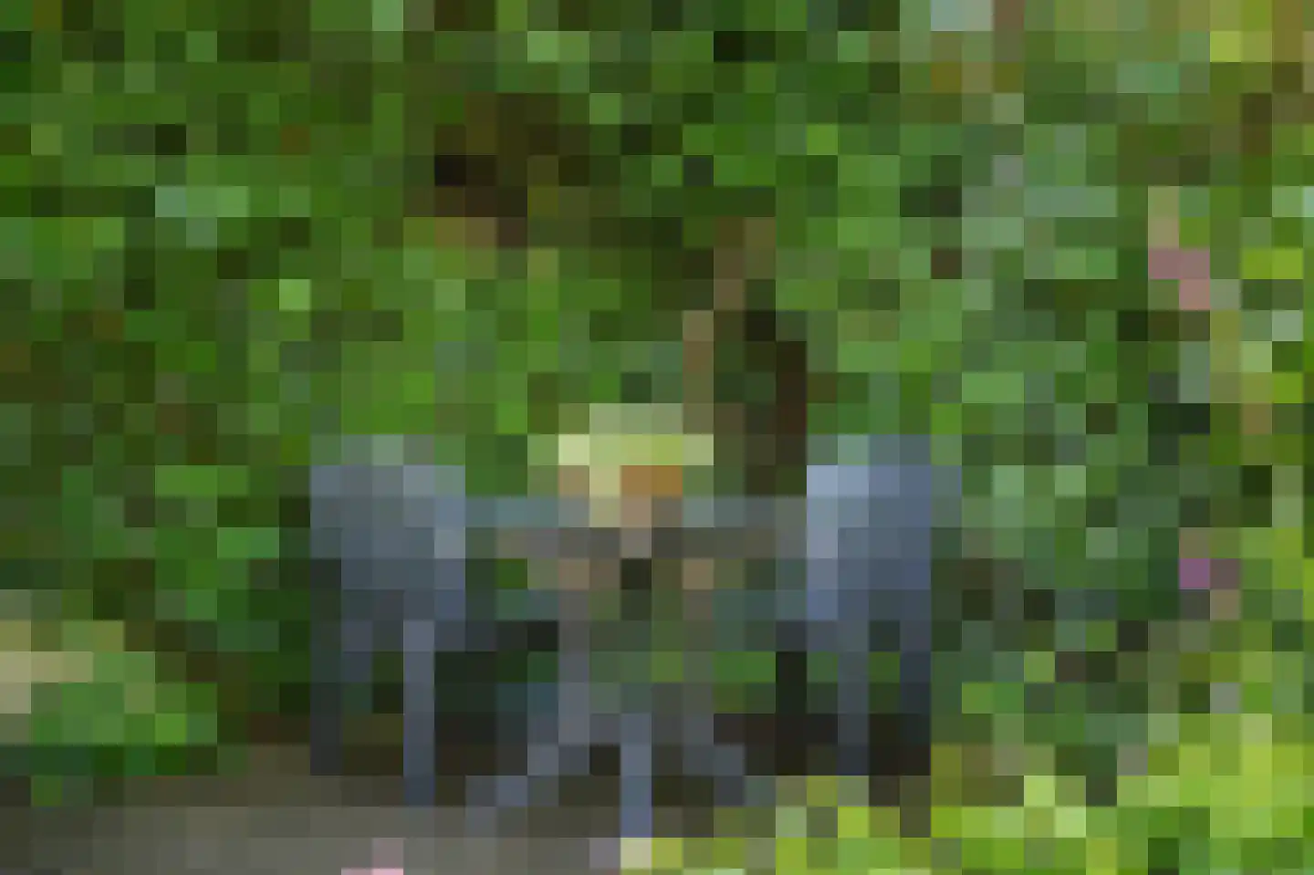 Kerkweg 8 Zijderveld thumbnail 37