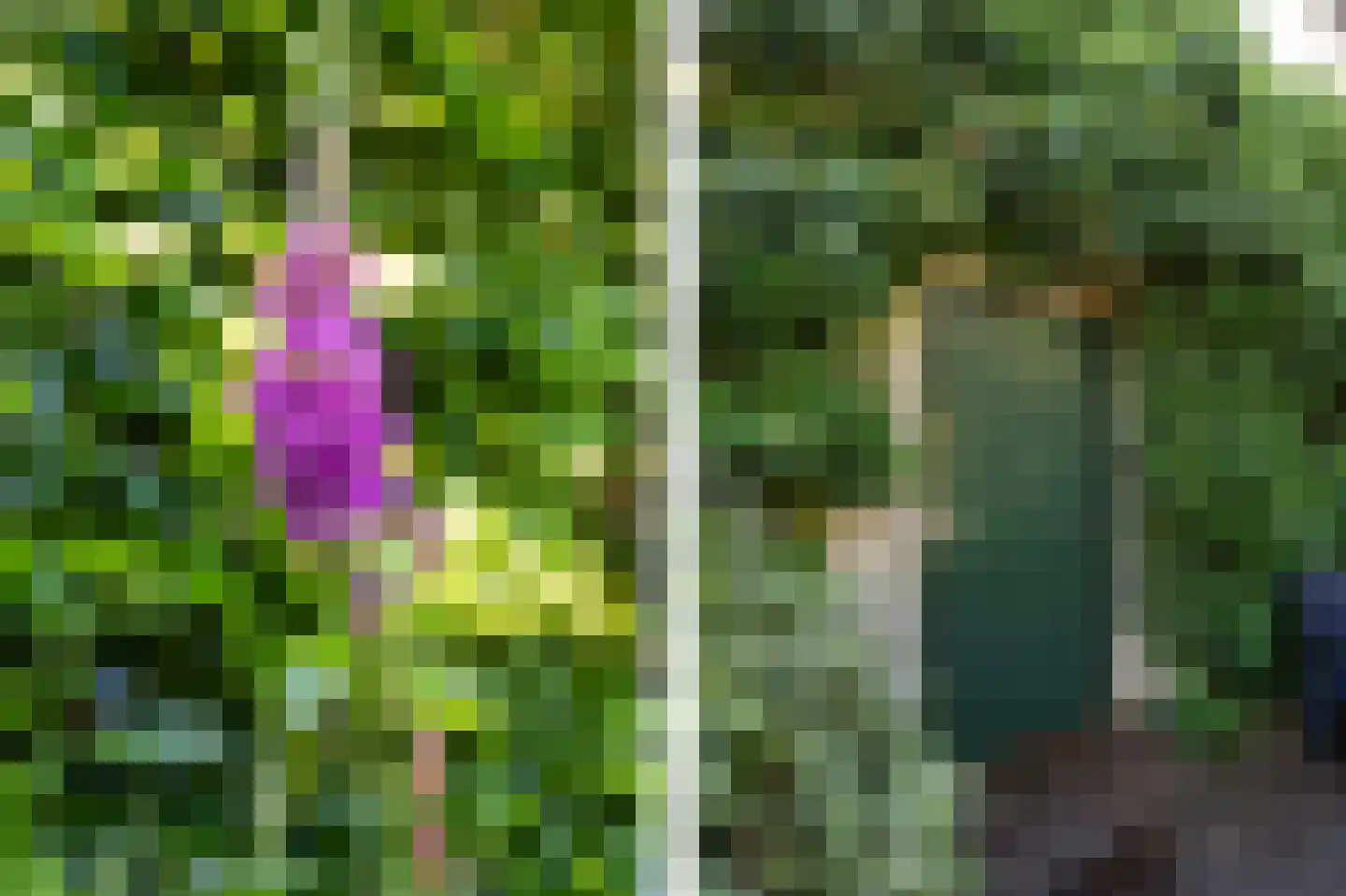 Kerkweg 8 Zijderveld thumbnail 38