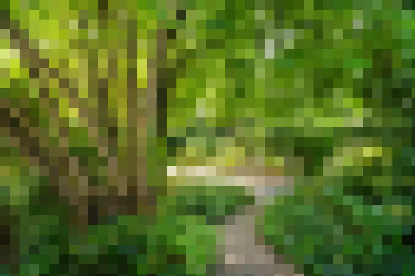 Kerkweg 8 Zijderveld thumbnail 4
