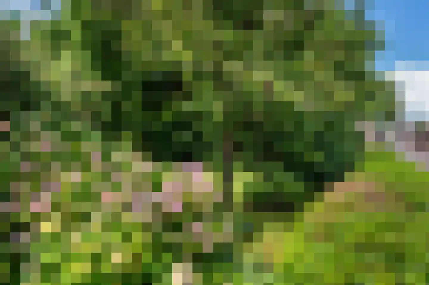 Kerkweg 8 Zijderveld thumbnail 51