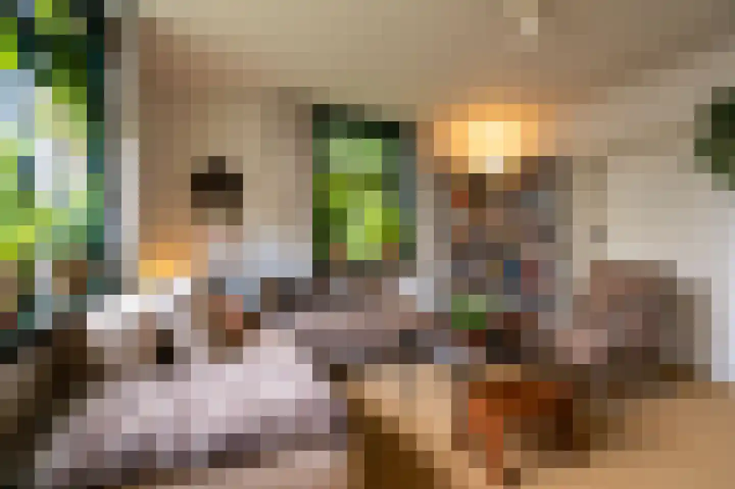 Kerkweg 8 Zijderveld thumbnail 6