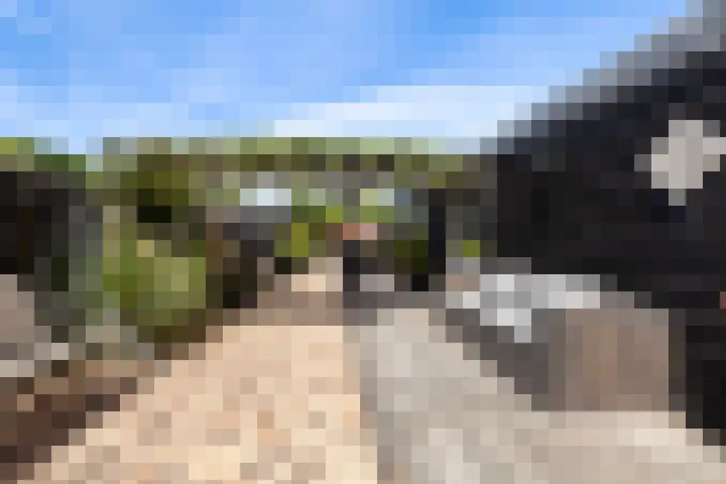 Kerkweg 84 Ridderkerk thumbnail 30