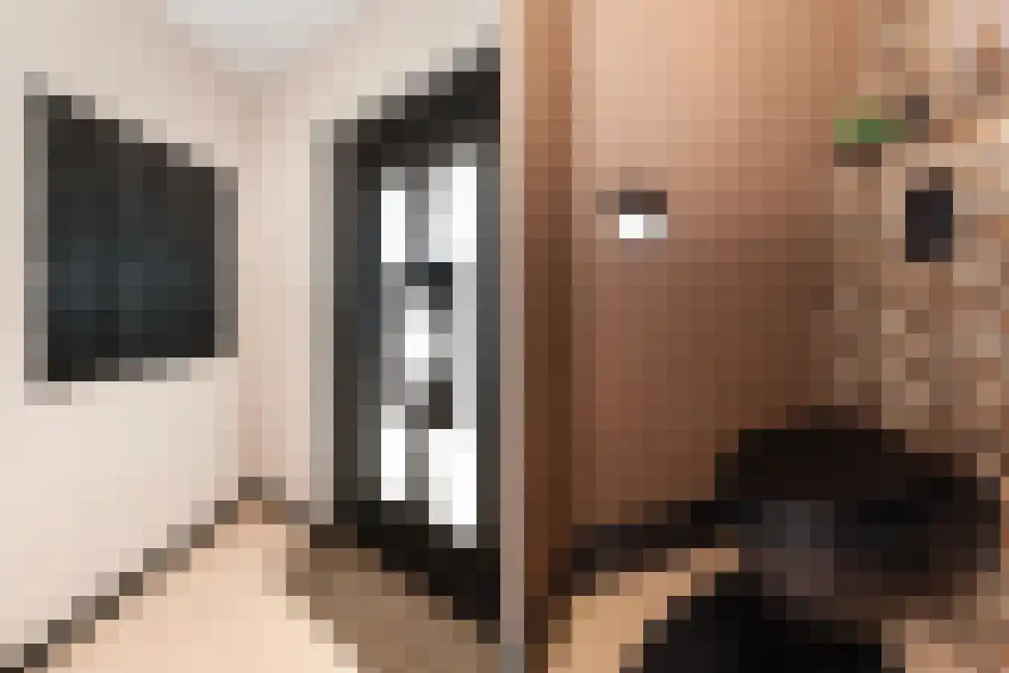 Kerkweg 84 Ridderkerk thumbnail 4