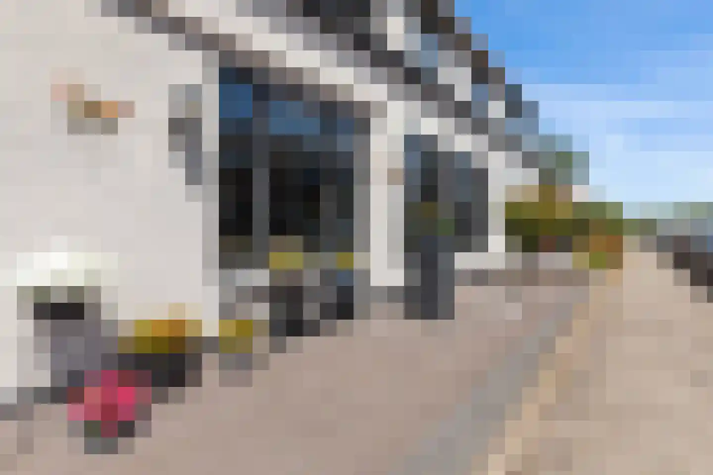 Kerkweg 84 Ridderkerk thumbnail 42