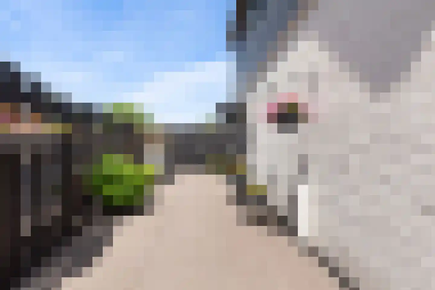 Kerkweg 84 Ridderkerk thumbnail 43