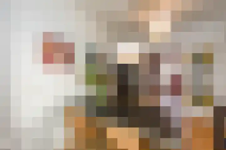 Kerkweg 84 Santpoort-Noord thumbnail 7