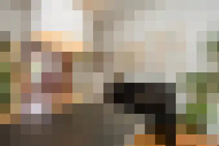 Kerkweg 84 Santpoort-Noord thumbnail 8
