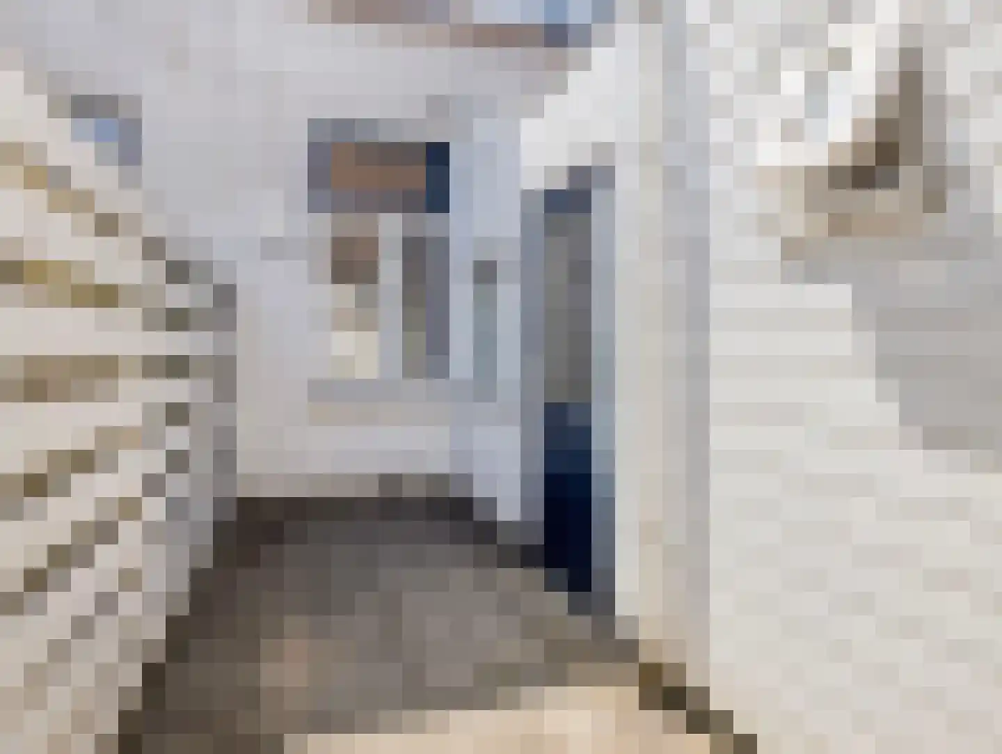 Kerkweg 89 Utrecht thumbnail 34