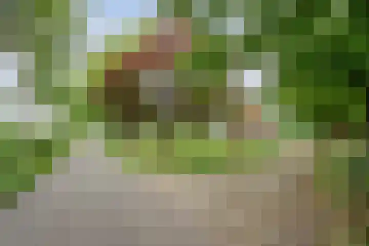 Kerkweg 9 Pesse thumbnail 10