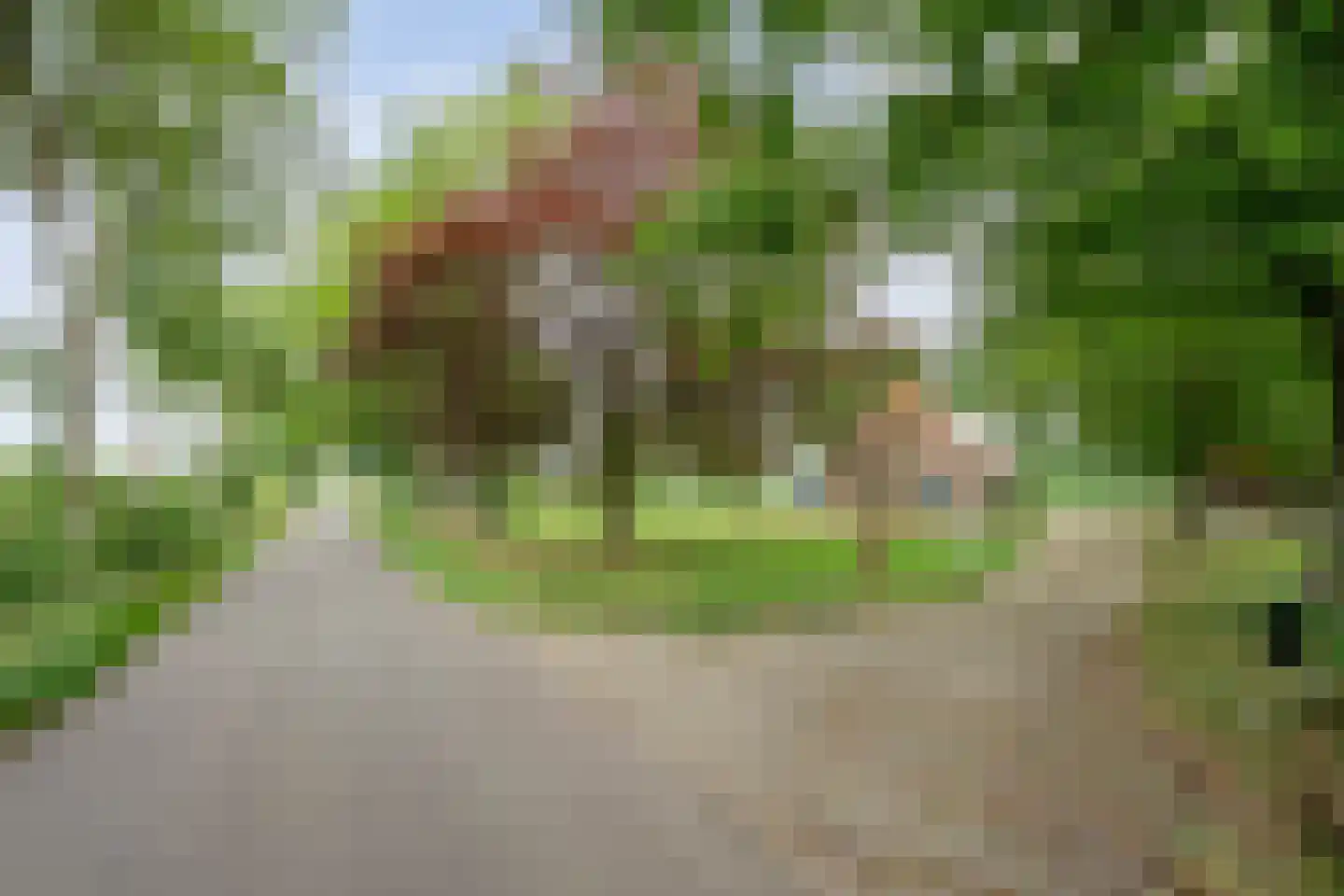 Kerkweg 9 Pesse thumbnail 10