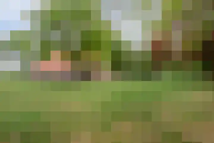 Kerkweg 9 Pesse thumbnail 11