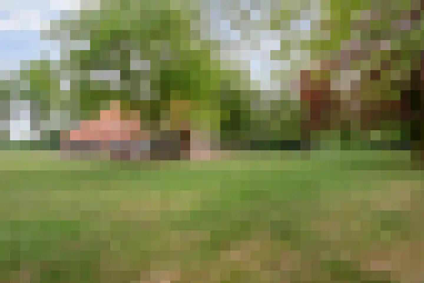 Kerkweg 9 Pesse thumbnail 11