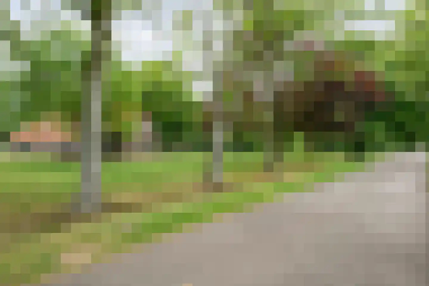 Kerkweg 9 Pesse thumbnail 12