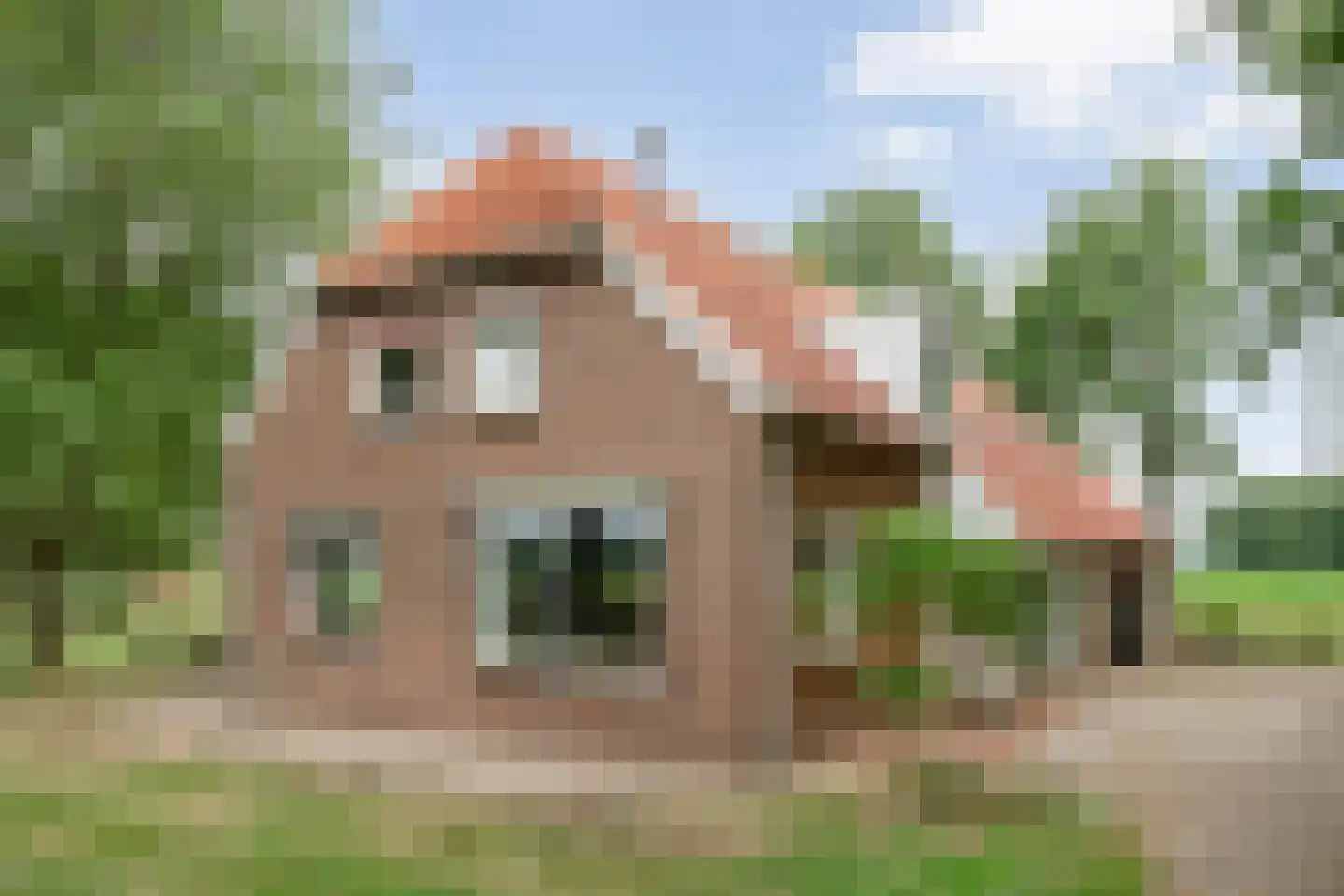 Kerkweg 9 Pesse thumbnail 13