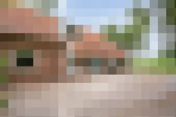 Kerkweg 9 Pesse thumbnail 14