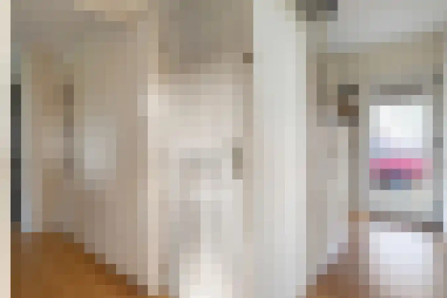 Kerkweg 9 Pesse thumbnail 16