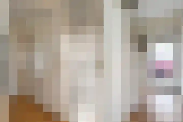 Kerkweg 9 Pesse thumbnail 16