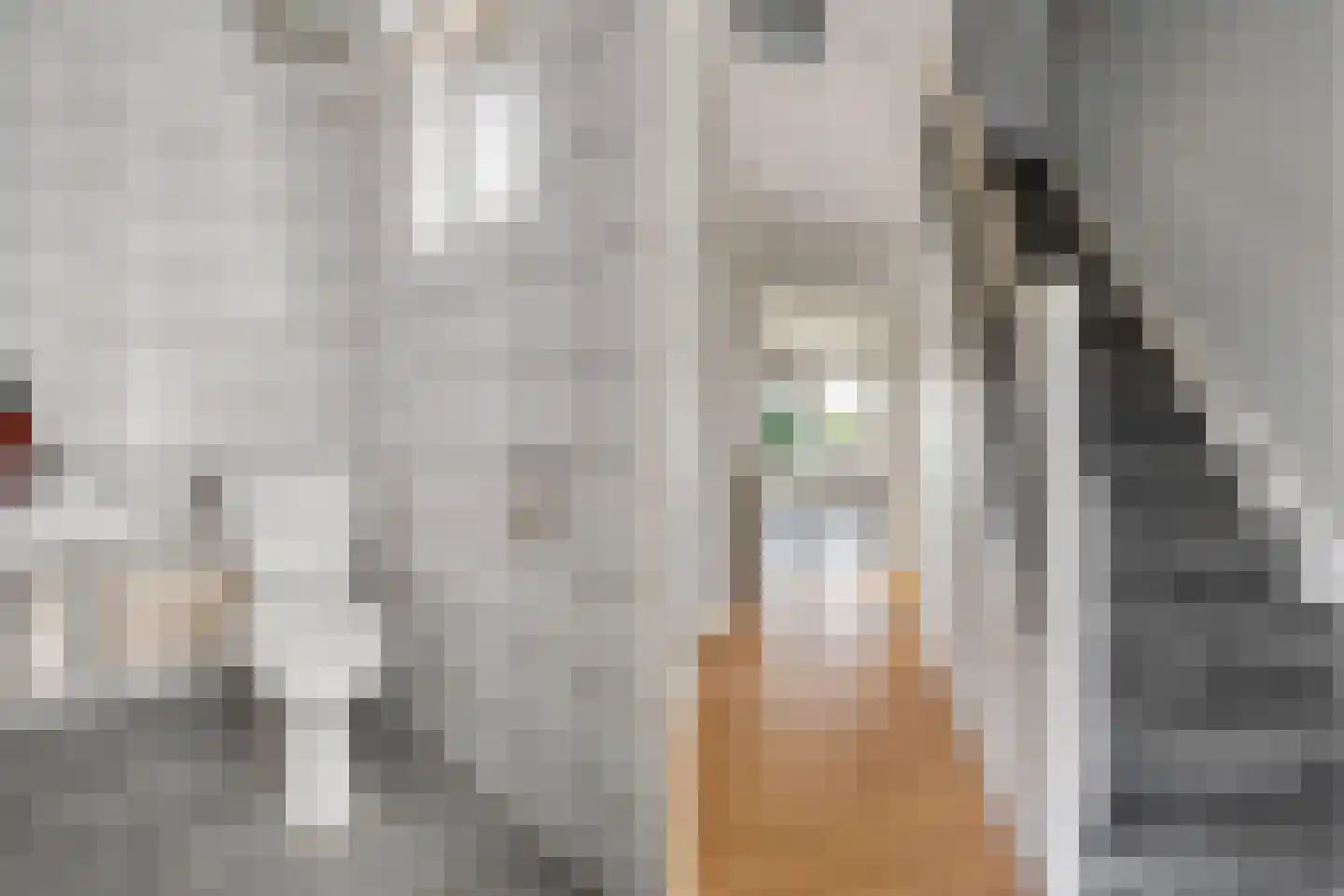 Kerkweg 9 Pesse thumbnail 17