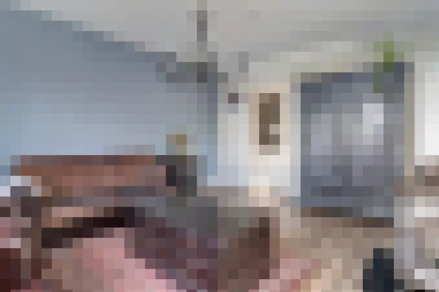 Kerkweg 9 Pesse thumbnail 20