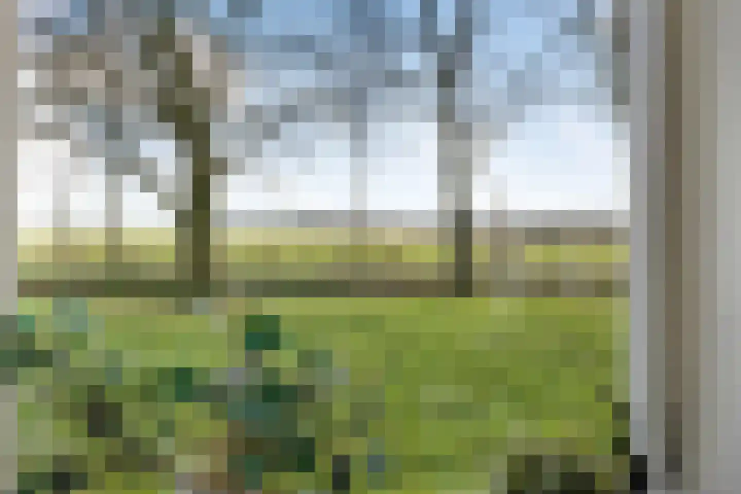 Kerkweg 9 Pesse thumbnail 25