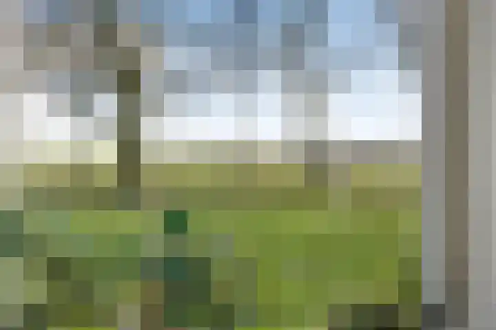 Kerkweg 9 Pesse thumbnail 25