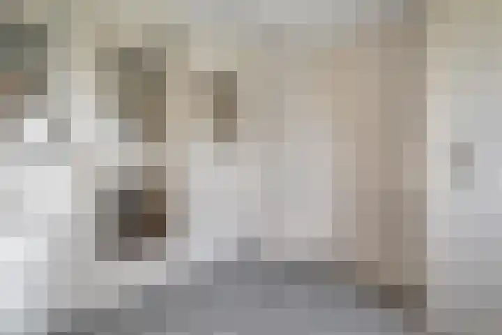 Kerkweg 9 Pesse thumbnail 30