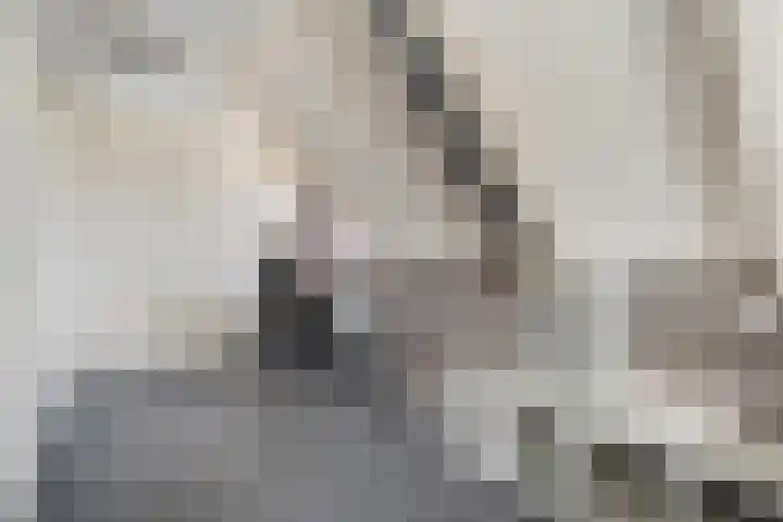 Kerkweg 9 Pesse thumbnail 35