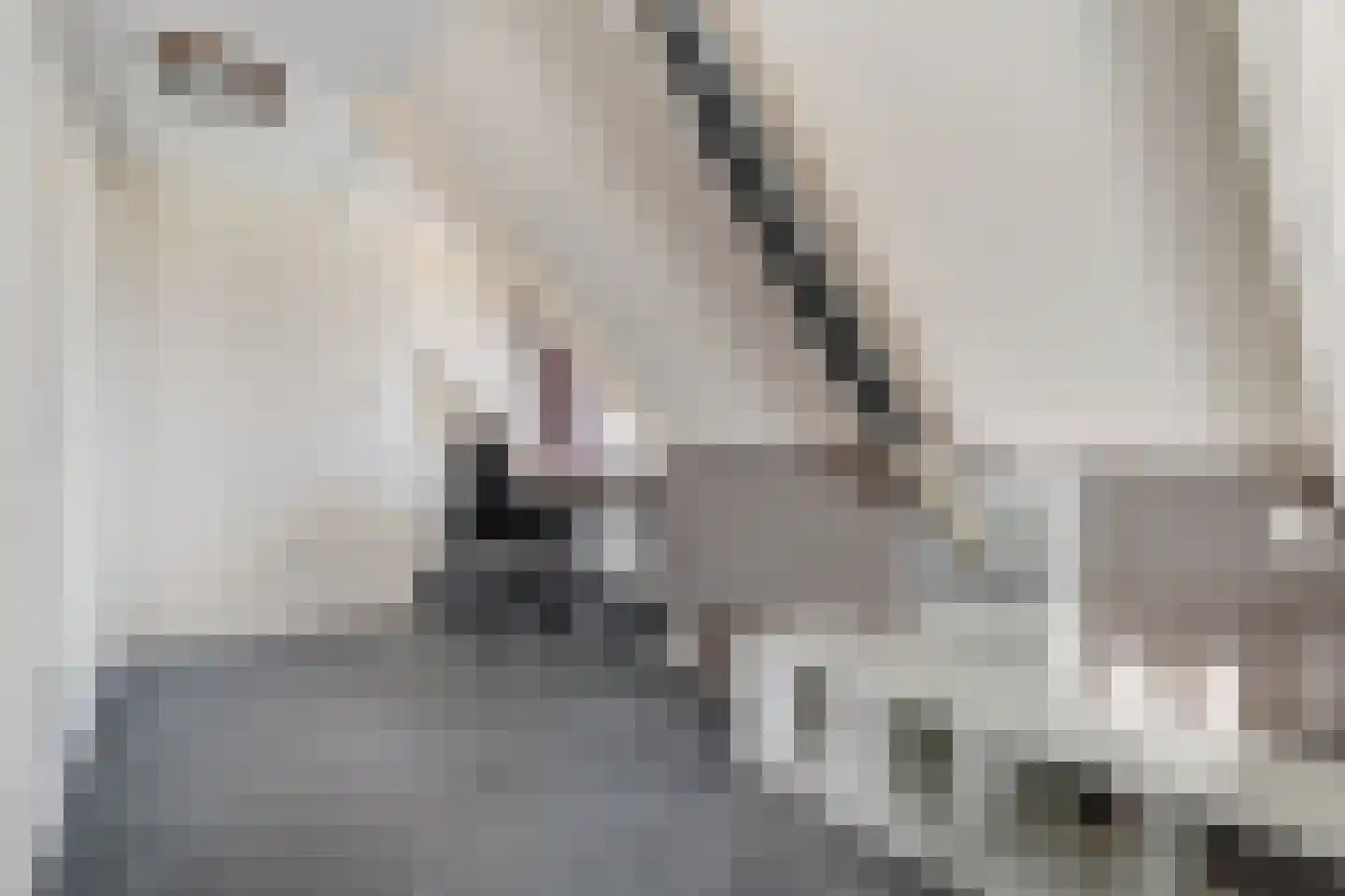 Kerkweg 9 Pesse thumbnail 35