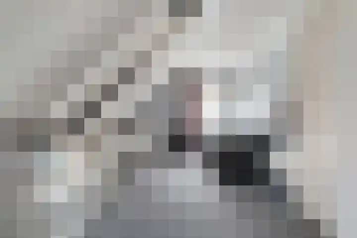 Kerkweg 9 Pesse thumbnail 36