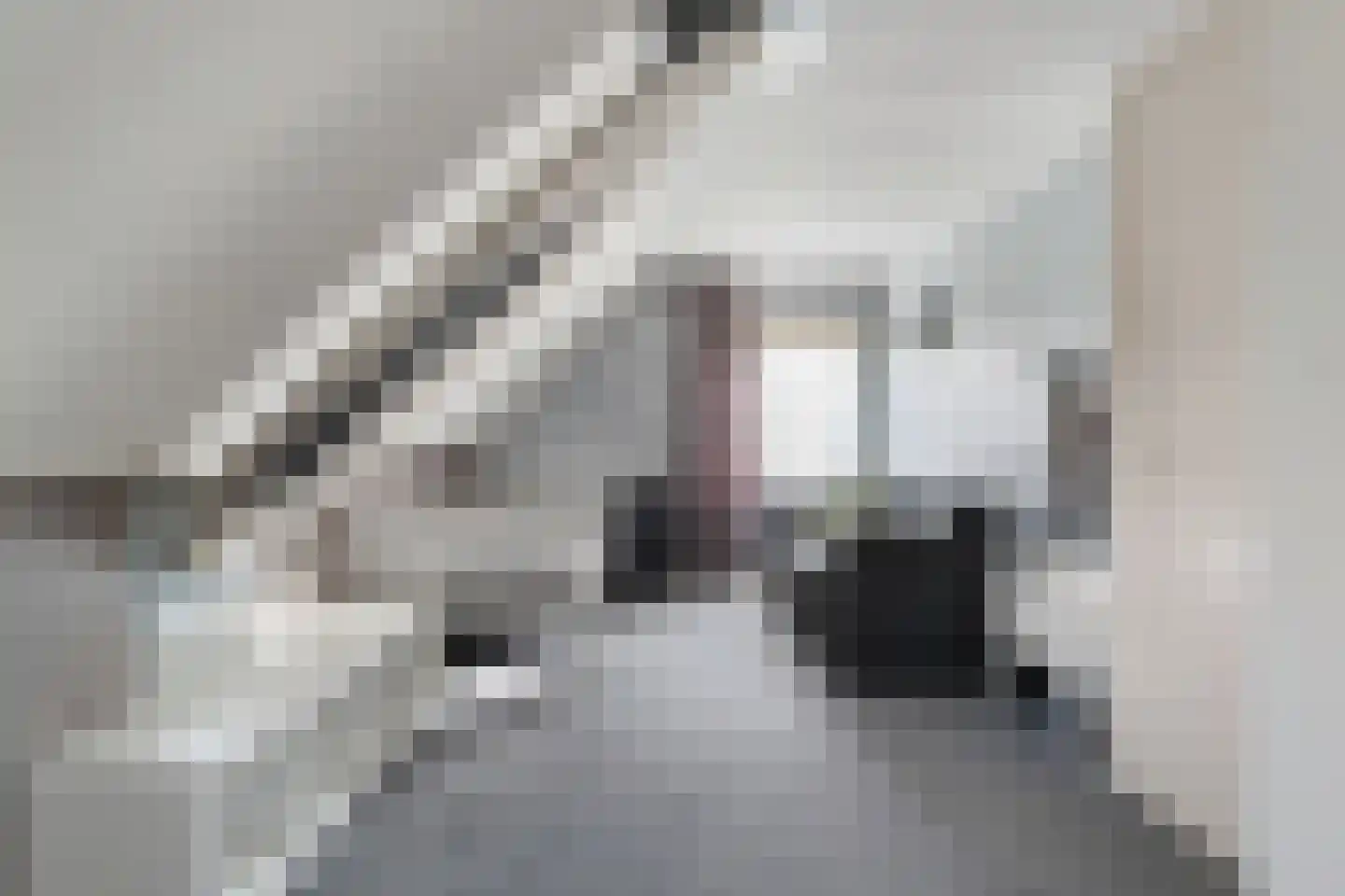 Kerkweg 9 Pesse thumbnail 36