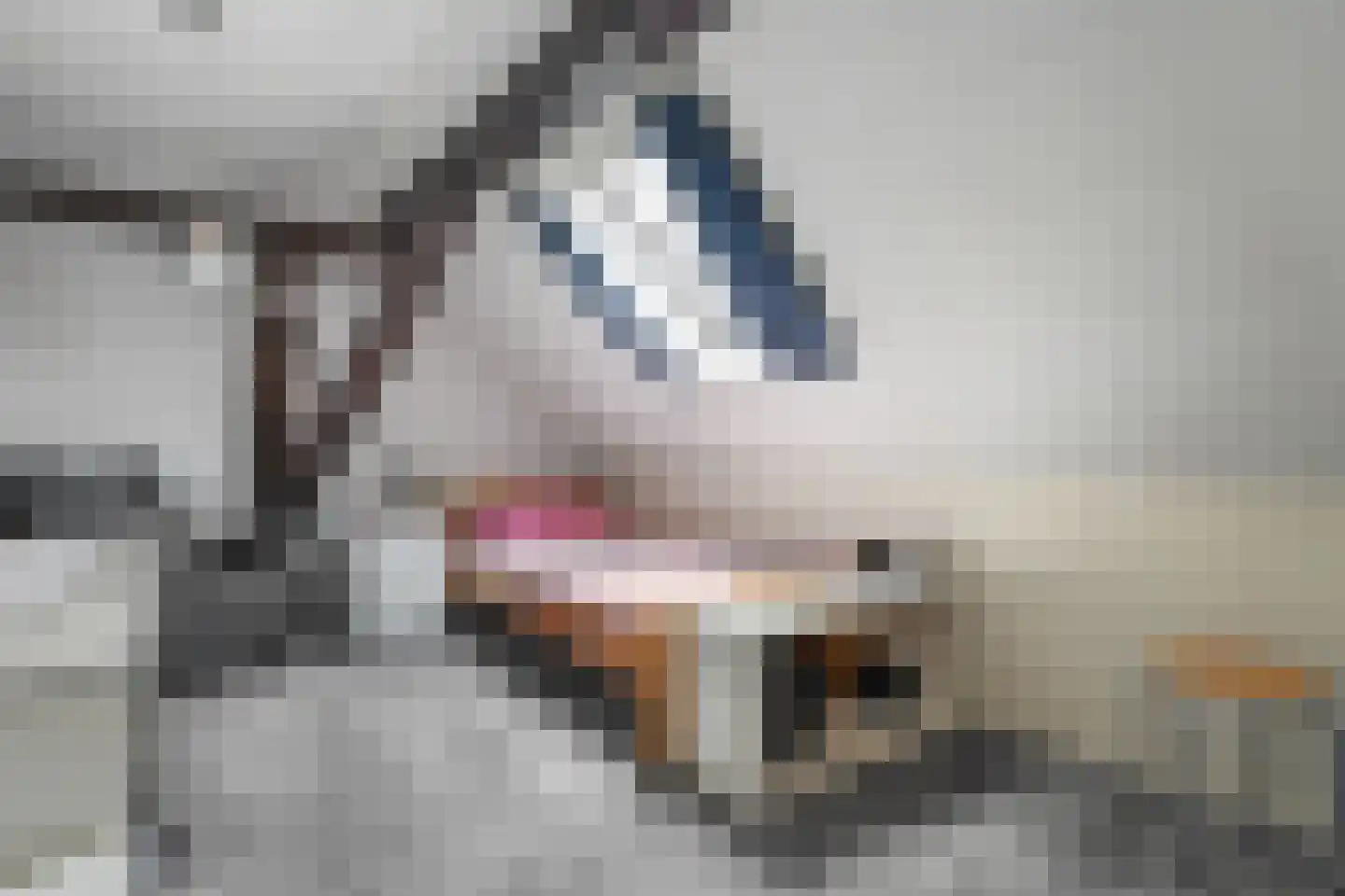 Kerkweg 9 Pesse thumbnail 40